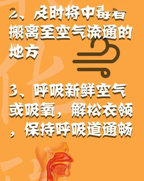 消防安全心中記，平平安安過大年——系列三：消防安全全攻略